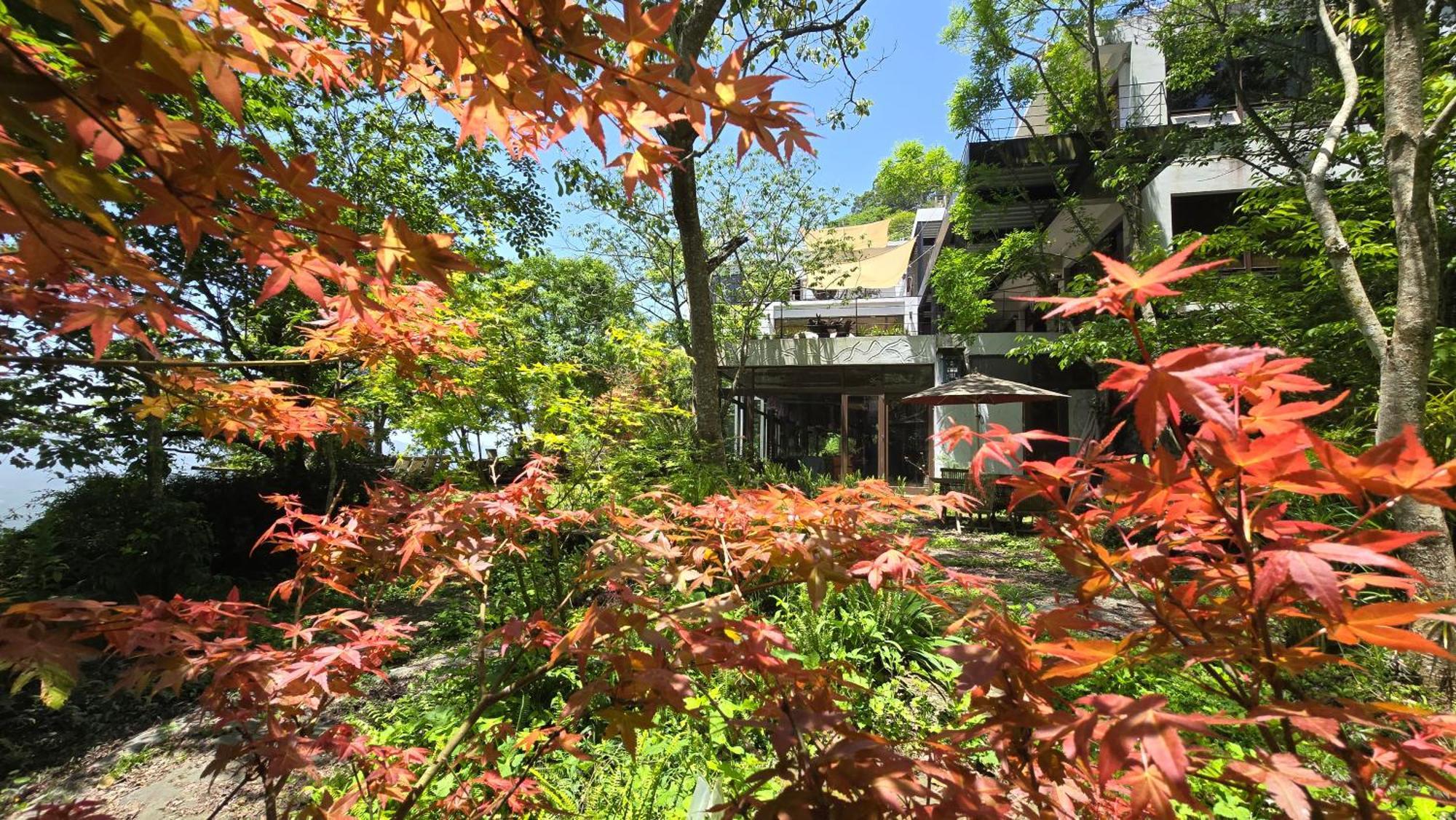 Maple map B&B Dahu Exterior foto